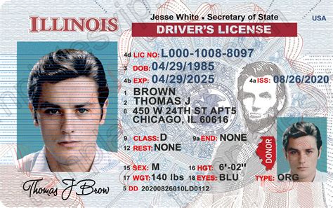 Driver license schaumburg il. Things To Know About Driver license schaumburg il. 